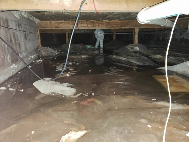 Best Flood Cleanup and Water Removal in Bethesda, MD